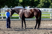 230903-092732 HPNJ 6679B NaimarkPhoto
