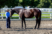 230903-092732 HPNJ 6680B NaimarkPhoto