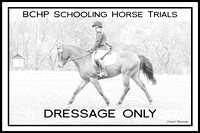 Dressage Only