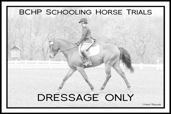 BCHP Signs DressageOnly NaimarkPhoto