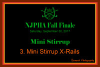 09/30/17 03. MINI STIRRUP X-RAILS