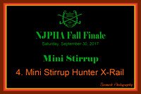 09/30/17 04. MINI STIRRUP HUNTER X-RAIL
