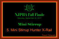 09/30/17 05. MINI STIRRUP HUNTER X-RAIL
