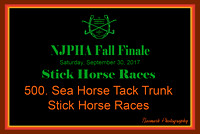 09/30/17 500. SEA HORSE TACK TRUNK STICK HORSE RACES