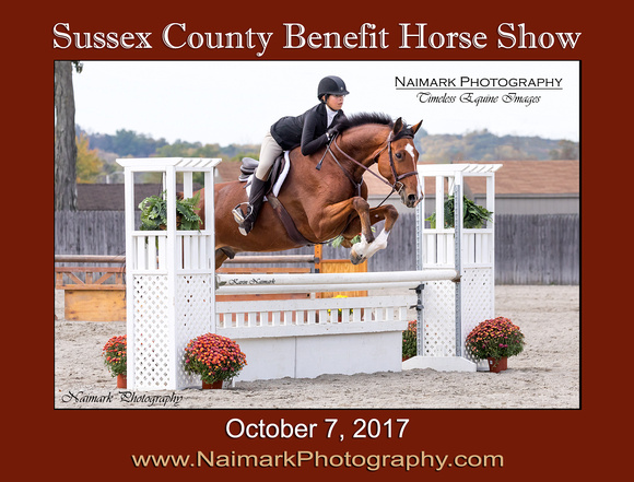 171007 SUSSEX SHOW Main Sign NaimarkPhoto