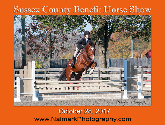 171028 SUSSEX SHOW Main Sign NaimarkPhoto