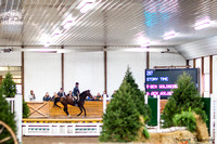 171118-120043 BIRCHTOWN 5517K NaimarkPhoto