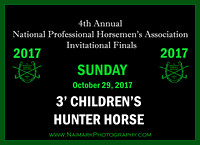 10/29/17 3' CHILDREN'S HUNTER HORSE