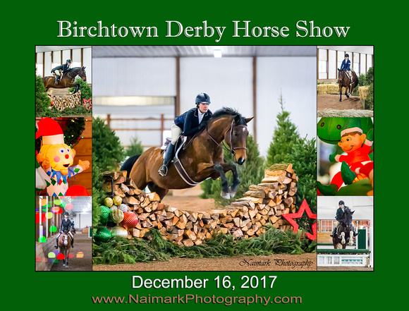 2017 Birchtown Derby Show NaimarkPhoto