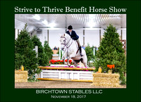 11/18/17 BIRCHTOWN BENEFIT HORSE SHOW