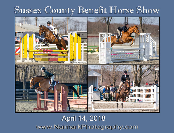 180414 SUSSEX SHOW Main Sign NaimarkPhoto