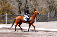 180422-131821 BCHP 4086S NaimarkPhoto