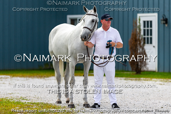 180827-104323 KWPN Keuring 1767K NaimarkPhoto