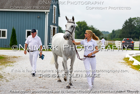 180827-104519 KWPN Keuring 1801K NaimarkPhoto
