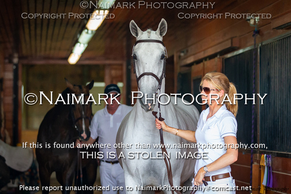 180827-104641 KWPN Keuring 1821K NaimarkPhoto