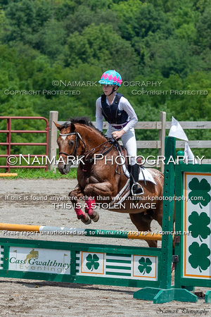 180812-133402 BCHP 4762C NaimarkPhoto