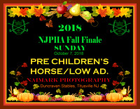 PRE CHILDREN'S HORSE/LOW ADULT COMBINED