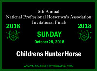 03 CHILDRENS HUNTER HORSE