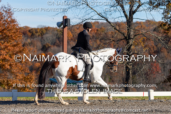 181104-102203 BCHP 6045CH NaimarkPhoto