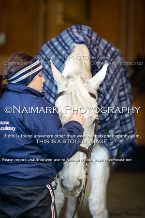 190119-090858 ONCOURSE 3154K NaimarkPhoto
