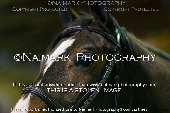 190119-080942 ONCOURSE 2964K NaimarkPhoto