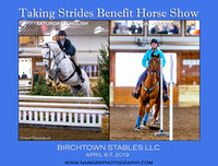 04/6-7/19 BIRCHTOWN TAKING STRIDES HORSE SHOW
