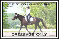 08 DRESSAGE ONLY
