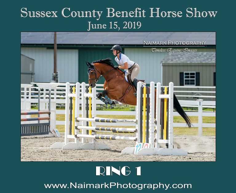 Naimark Photography | 06/15/19 SUSSEX COUNTY BENEFIT HORSE SHOW #3