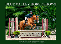 BLUE VALLEY HORSE SHOWS