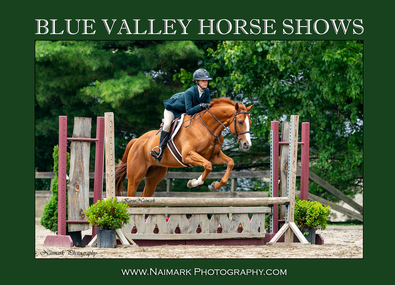 Naimark Photography HORSE SHOWS