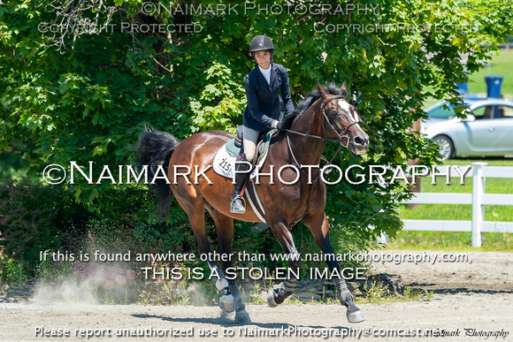 190713-124751 SUSSEX 06348K NaimarkPhoto