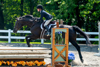 289 OAKS - Henry Palmer - Jonathan Martin