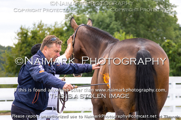 190906-121401 KWPN-NA KEURING 0059Kc NaimarkPhoto