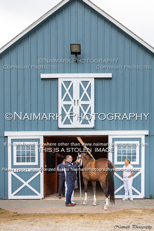 190906-101217 KWPN-NA KEURING 0046K NaimarkPhoto
