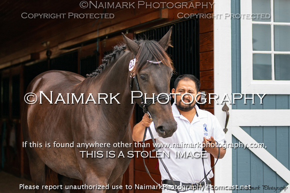 190906-104336 KWPN-NA KEURING 04693K NaimarkPhoto