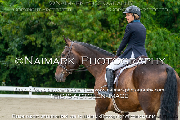 190906-085853 KWPN-NA KEURING 02124K NaimarkPhoto