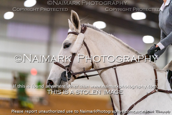 200112-170757 HORSEPARK NJ 4806K NaimarkPhoto