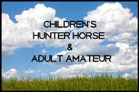 06 CHILDREN'S HUNTER HORSE AND ADULT AMATEUR
