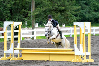294 BENITO - Reagan Waggoner