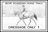 Dressage Only 1