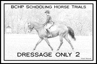 Dressage Only 2