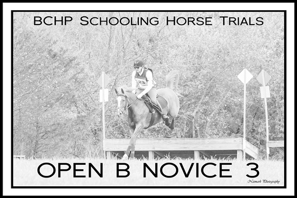 BCHP Signs OPEN B Novice 3 NaimarkPhoto