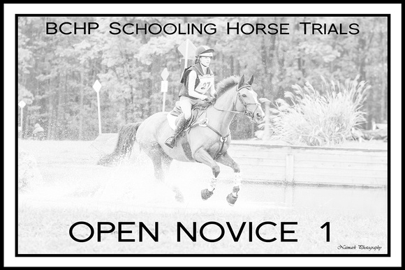 BCHP Signs OPEN Novice 1 NaimarkPhoto