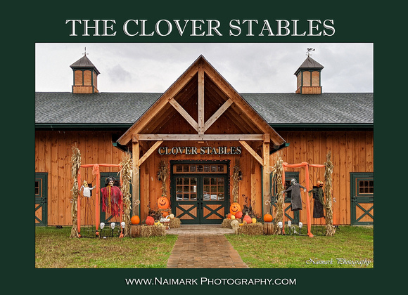 THE CLOVER STABLES