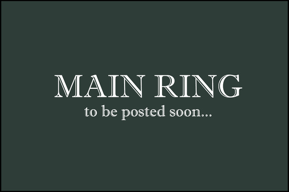MAIN RING TO BE POSTED SOON