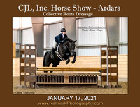 Cjl Inc.USEF/OUTREACH "C" Horse Show @ Ardara - Collective Roots Dressage - January 17, 2021