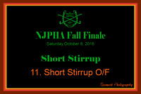 10/08/16 11. Short Stirrup O/F