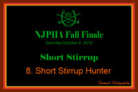10/08/16 08. Short Stirrup Hunter
