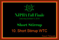 10/08/16 10. Short Stirrup WTC