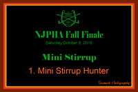 10/08/16 01. Mini Stirrup Hunter